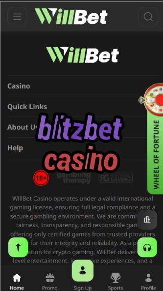 BlitzBet Casino - Quick Betting Casino Platform-casinoorder.vip